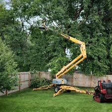 How Our Tree Care Process Works  in  Atwater, CA