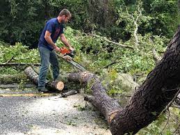 Best Tree Risk Assessment  in Atwater, CA